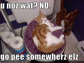 u noz wat? NO.  go pee somewherz elz