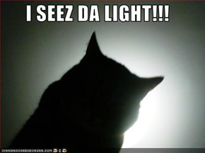I SEEZ DA LIGHT!!!