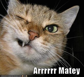 Arrrrrr Matey