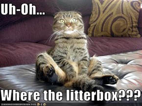 Uh-Oh...  Where the litterbox???