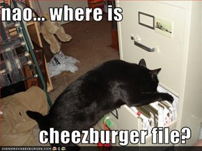 nao... where is  cheezburger file?