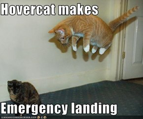 Hovercat makes   Emergency landing