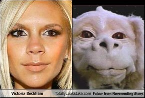 Victoria Beckham Totally Looks Like Falcor from Neverending Story