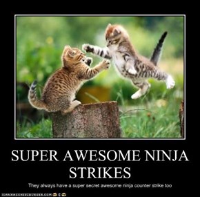 SUPER AWESOME NINJA STRIKES
