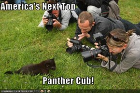 America's Next Top  Panther Cub!