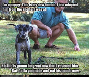 I'm a puppy.  This is my new human. I just adopted  him from the shelter I was at.