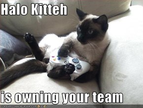 Halo Kitteh  is owning your team