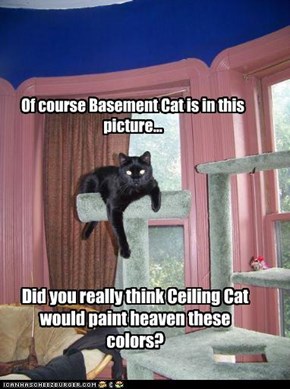 Of course Basement Cat is in this picture...