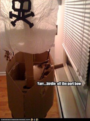 Yarr....birdie  off the port bow