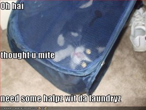 Oh hai thought u mite need some halpz wit da laundryz