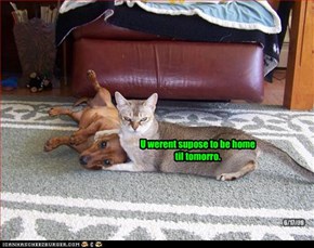 U werent supose to be home til tomorro.