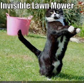 Invisible Lawn Mower