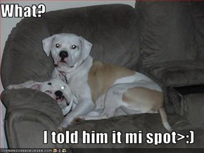 What?  I told him it mi spot>:)