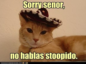 Sorry senor,     no hablas stoopido.