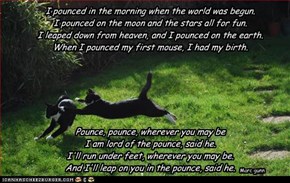 I pounced in the morning when the world was begun. I pounced on the moon and the stars all for fun. I leaped down from heaven, and I pounced on the earth. When I pounced my first mouse, I had my birth.       Pounce, pounce, wherever you may be I am lord o