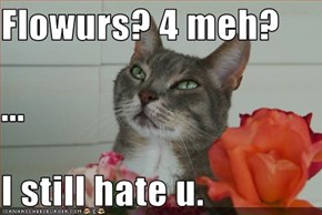 Flowurs? 4 meh? ... I still hate u.