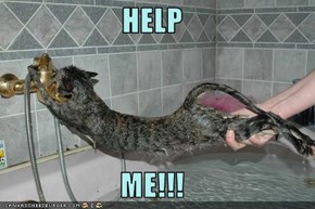 HELP  ME!!!