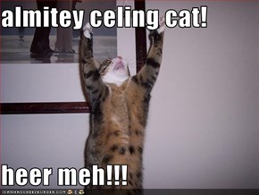 almitey celing cat!  heer meh!!!