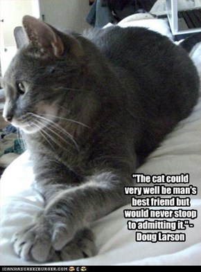"The cat could very well be man's best friend but would never stoop to admitting it." - Doug Larson