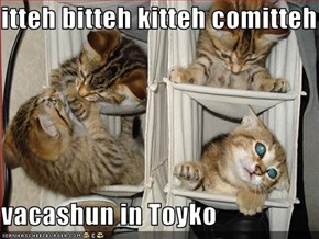 itteh bitteh kitteh comitteh  vacashun in Toyko