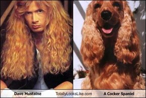 Dave Mustaine Totally Looks Like A Cocker Spaniel