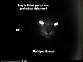 Sorry to disturb you, but were you having a nightmare?