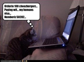 Orderin 100 cheezburgerz... Paying wif... my humans visa... Numberiz 50282...