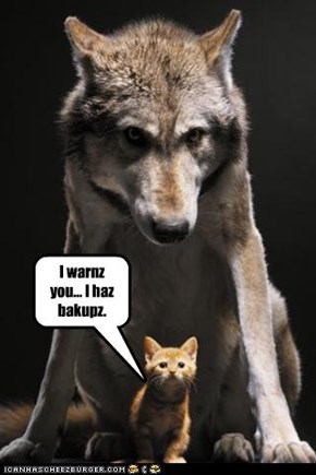 I warnz you... I haz bakupz.