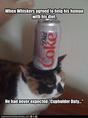 When Whiskers agreed to help his human with his diet,