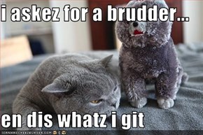 i askez for a brudder...  en dis whatz i git