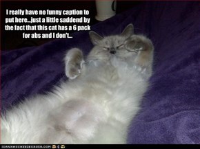 I really have no funny caption to put here...just a little saddend by the fact that this cat has a 6 pack for abs and I don't...
