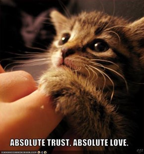 ABSOLUTE TRUST, ABSOLUTE LOVE.