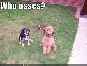 Who usses?