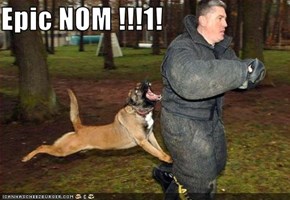 Epic NOM !!!1!