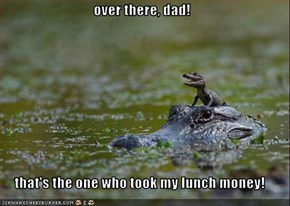 over there, dad!  that's the one who took my lunch money!