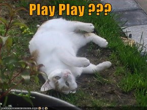 Play Play ???