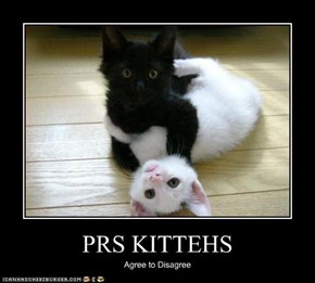 PRS KITTEHS