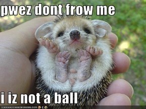 pwez dont frow me  i iz not a ball