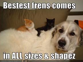 Bestest frens comes  in ALL sizes & shapez
