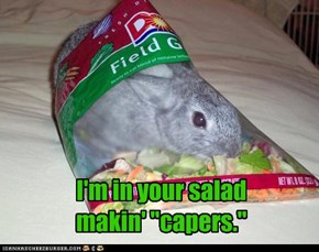I'm in your salad makin' "capers."