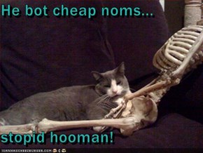 He bot cheap noms...  stopid hooman!