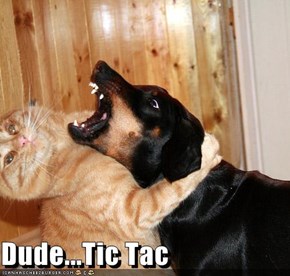 Dude...Tic Tac