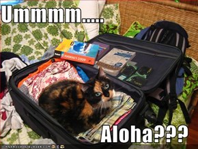Ummmm.....  Aloha???