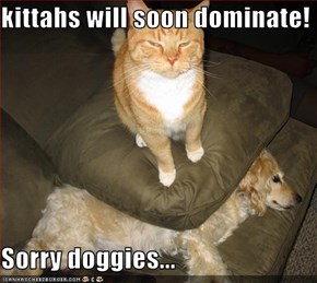 kittahs will soon dominate!  Sorry doggies...
