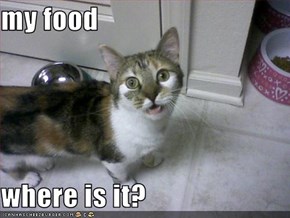 my food   where is it?