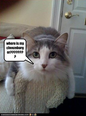 where is my cheezeburger????????