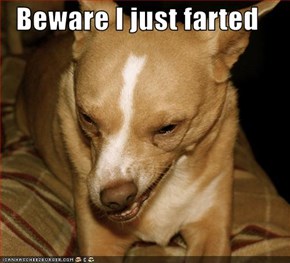 Beware I just farted