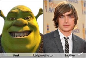 Shrek Totally Looks Like Zac Efron