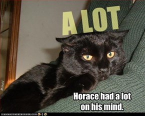 Horace had a lot on his mind.