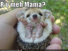R u meh Mama?